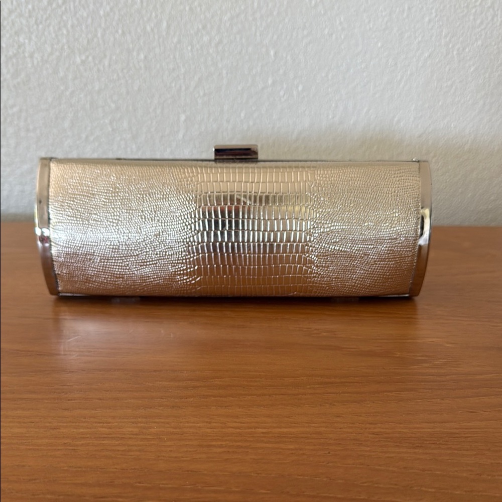 Elegant Silver Clutch